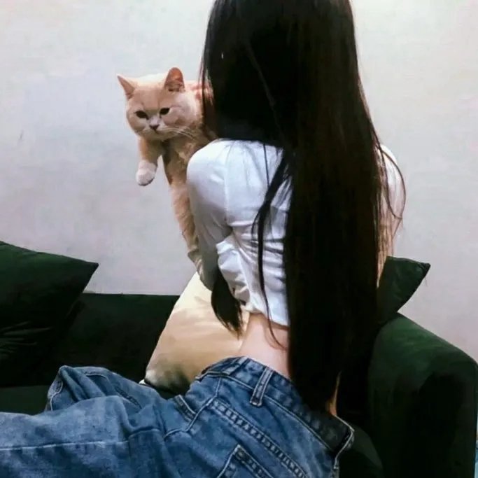 灌篮青春